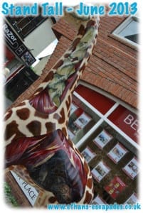 Colchester Zoo Stand Tall Trail
