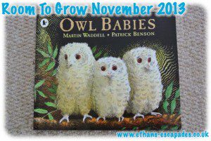 Room To Grow Bookshare Scheme - Owl Babies
