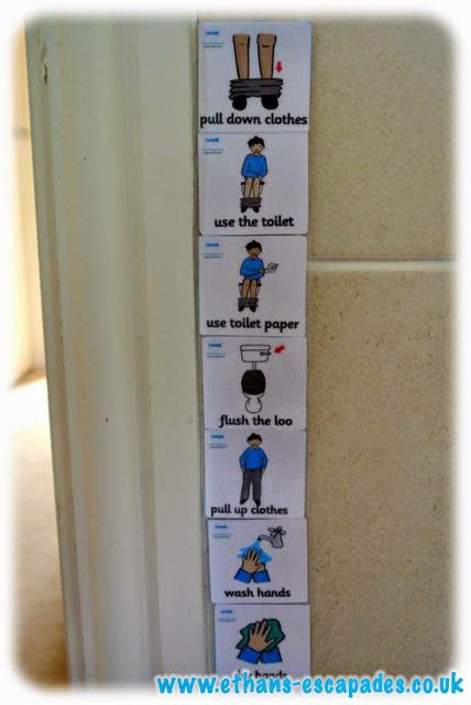 Twinkl Toilet Training Visual Guide