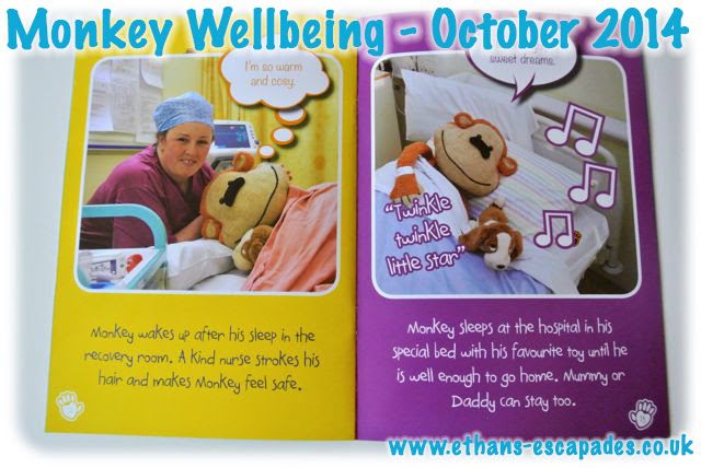 Monkey Wellbeing - Monkey Has An Operation