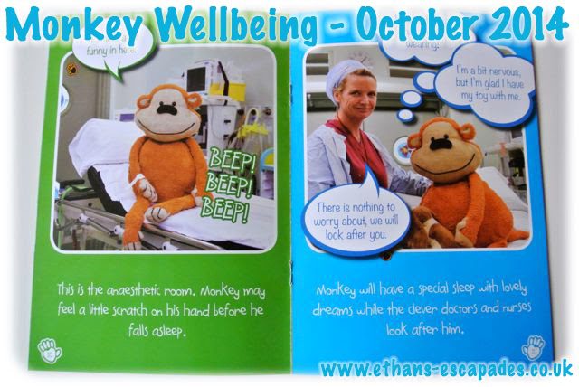 Monkey Wellbeing - Monkey Has An Operation