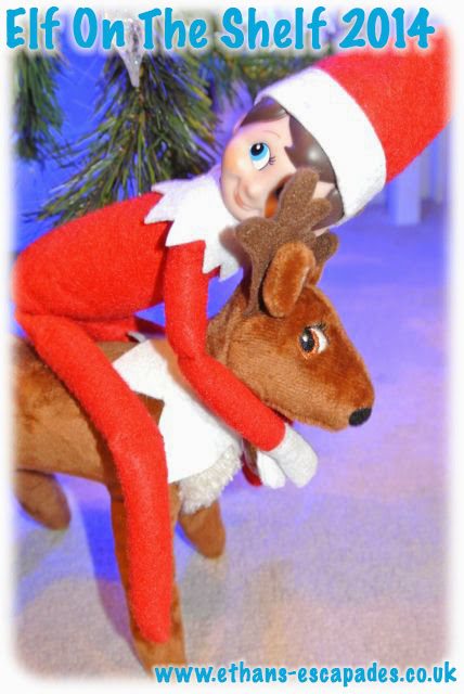 Elf on the shelf Elf Pets Reindeer