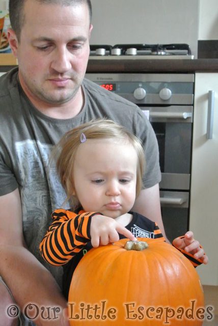 darren little e pumpkin