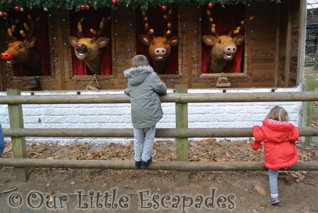 ethan little e watching singing reindeer center parcs