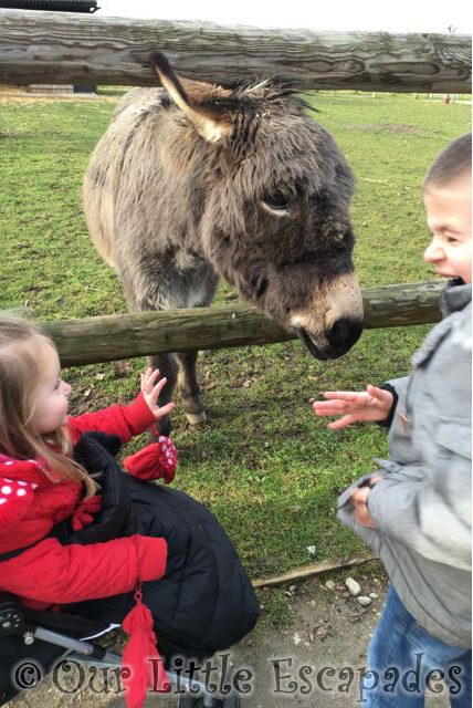 little e ethan laughing donkey February 2017