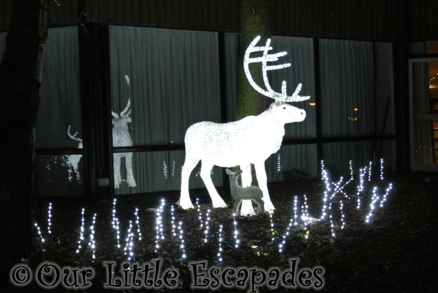 stag christmas lights center parcs winter wonderland elveden forest