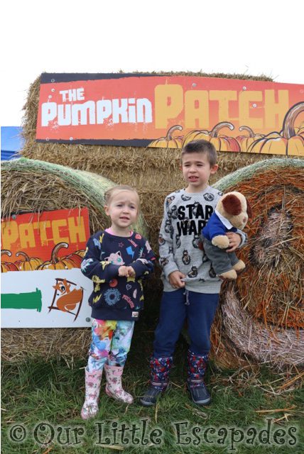 siblings at pumpkin patch