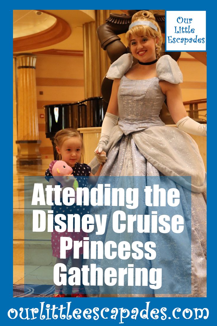 attending disney cruise princess gathering
