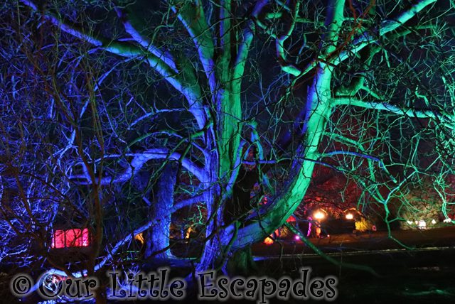 enchanted audley end blue trees