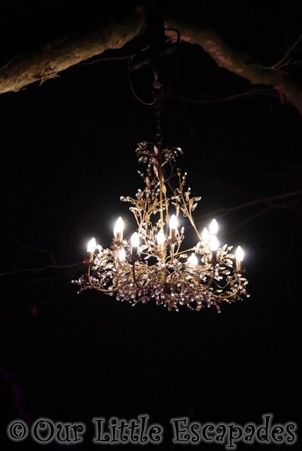 enchanted audley end tree chandelier