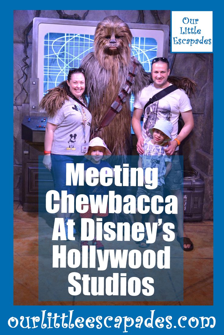 meeting chewbacca disneys hollywood studios walt disney world