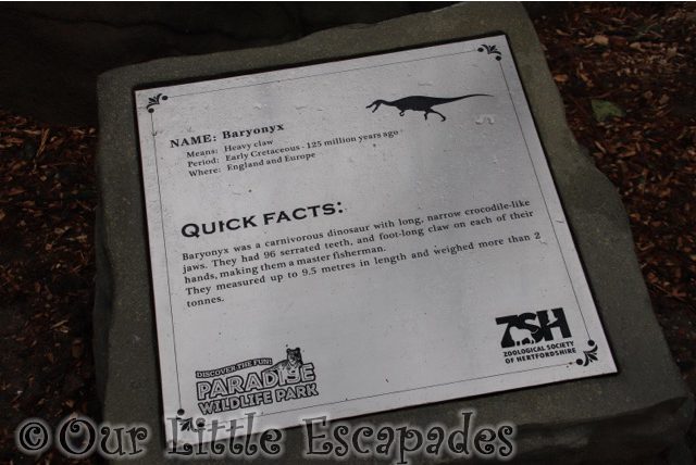 world of dinosaurs baryonyx facts paradise wildlife park