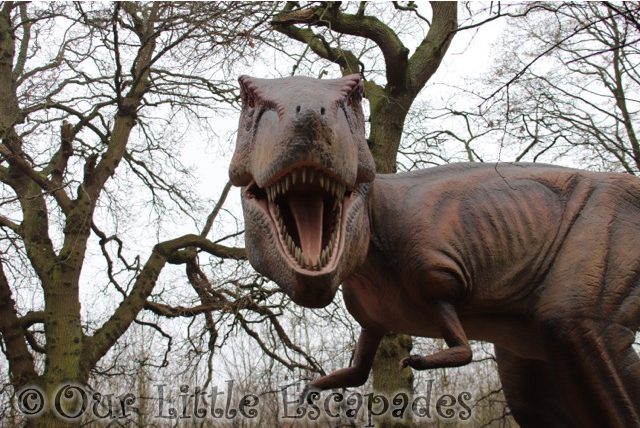 tryannosaurus rex