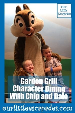 garden grill character dining chip dale