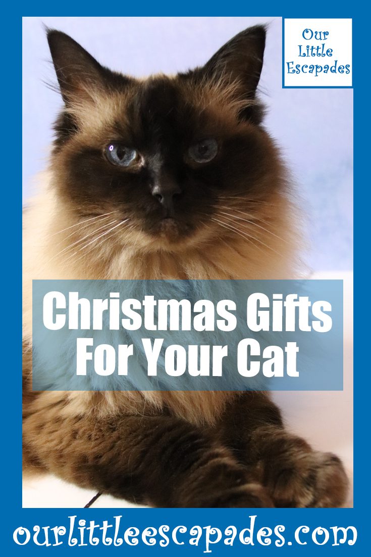 Christmas Gifts For Your Cat