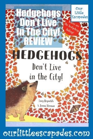 Hedgehogs Dont Live In The City REVIEW