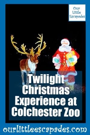 Twilight Christmas Experience Colchester Zoo