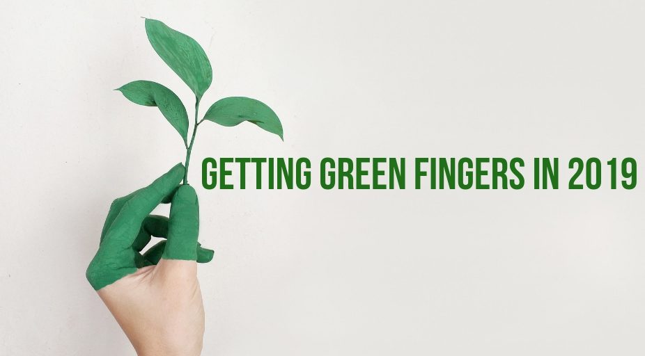 getting green fingers in 2019
