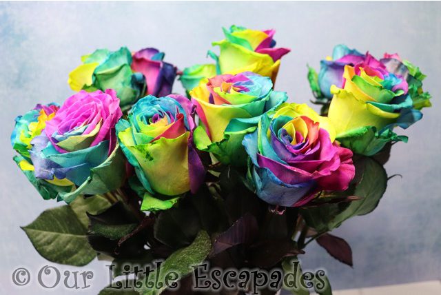 rainbow roses bouquets blossoming gifts