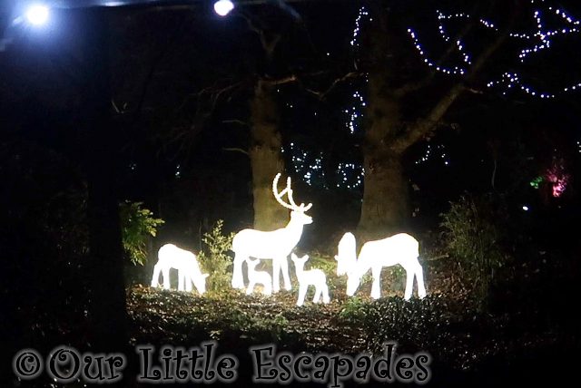 Twilight Christmas Experience at Colchester Zoo