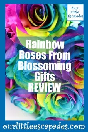 Rainbow Roses From Blossoming Gifts REVIEW