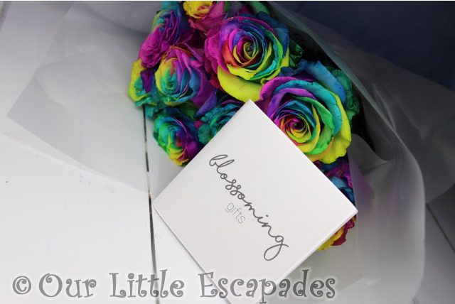 rainbow roses blossoming gifts