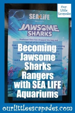 Becoming Jawsome Sharks Rangers with SEA LIFE Aquariums