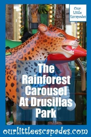 The Rainforest Carousel At Drusillas Park