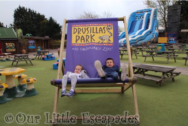 Our Fun-Filled Day At Drusillas Park Review