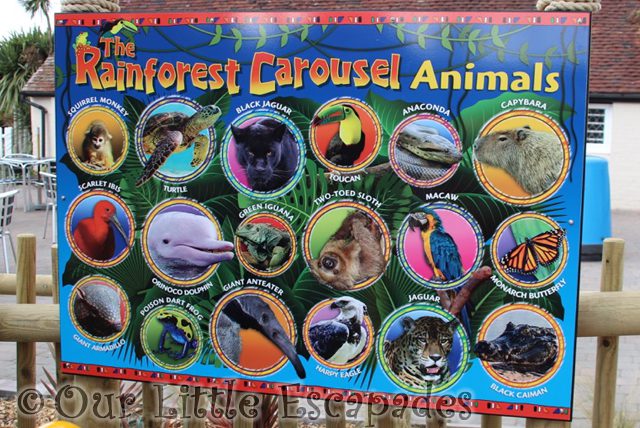 rainforest carousel animals drusillas park