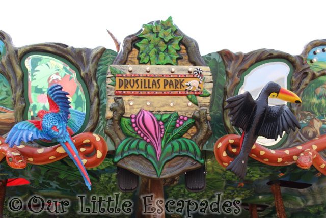 rainforest carousel design drusillas park