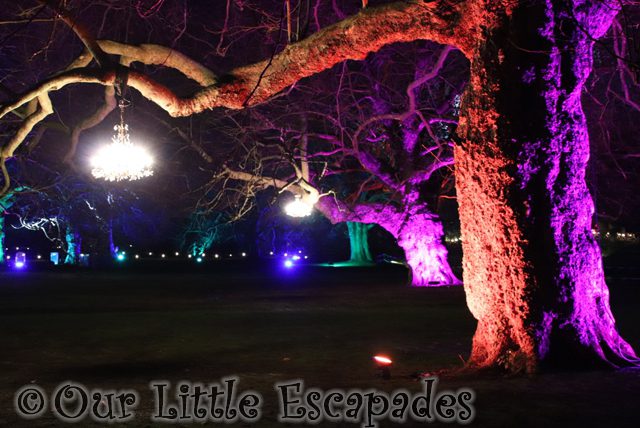enchanted audley end tree chandeliers