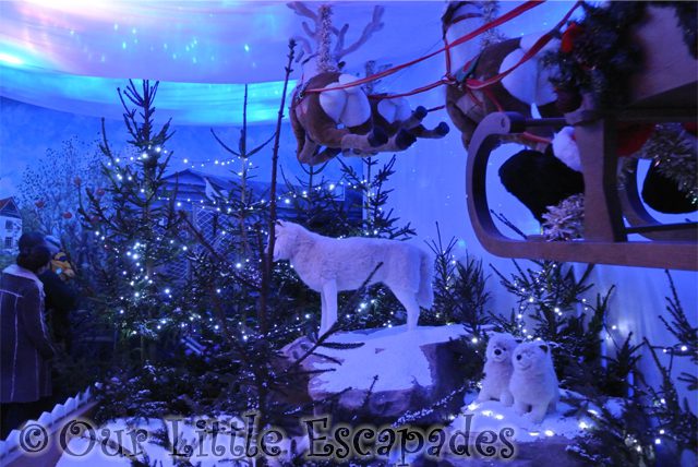 huskies colchester zoo christmas grotto