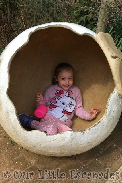 little e tortoise egg girly trip to colchester zoo