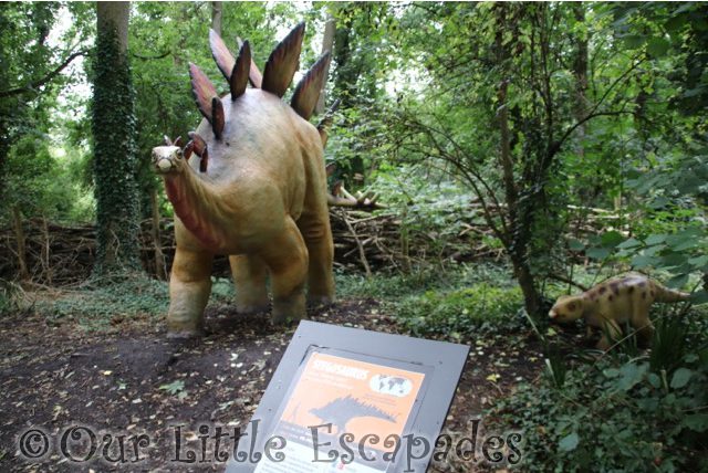 stegosaurus dinosaur forest port lympne