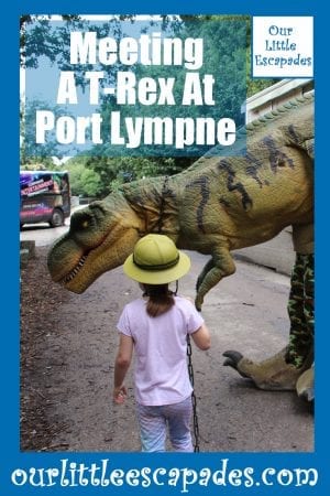 Meeting A T-Rex At Port Lympne
