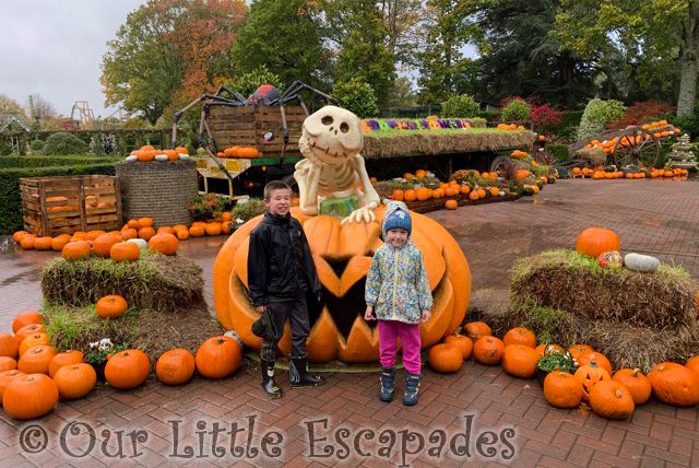 little e ethan halloween pumpkins paultons park peppa pig world