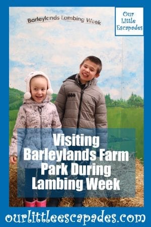 Visiting Barleylands Farm Park During Lambing Week