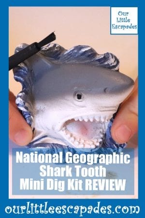 National Geographic Shark Tooth Mini Dig Kit REVIEW