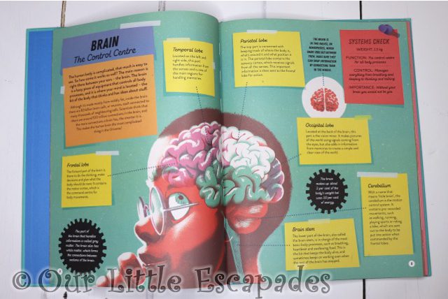 brain so you want to build a human inside pages