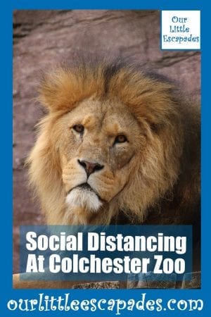 Social Distancing At Colchester Zoo