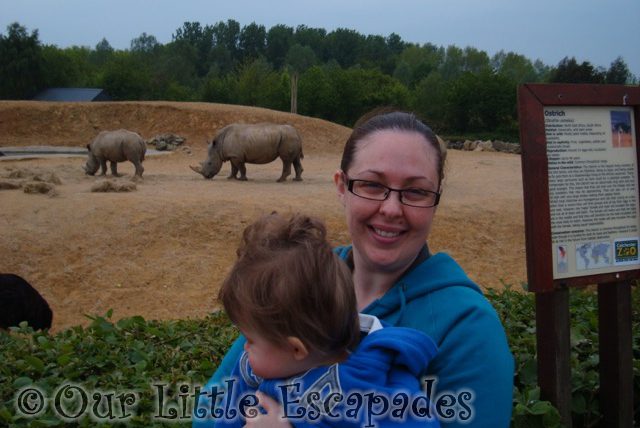 jane ethan rhinoceros colchester zoo first birthday treat