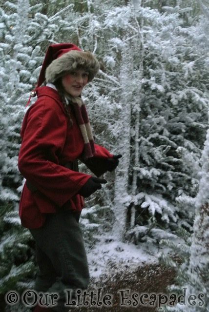 elf snowy forest