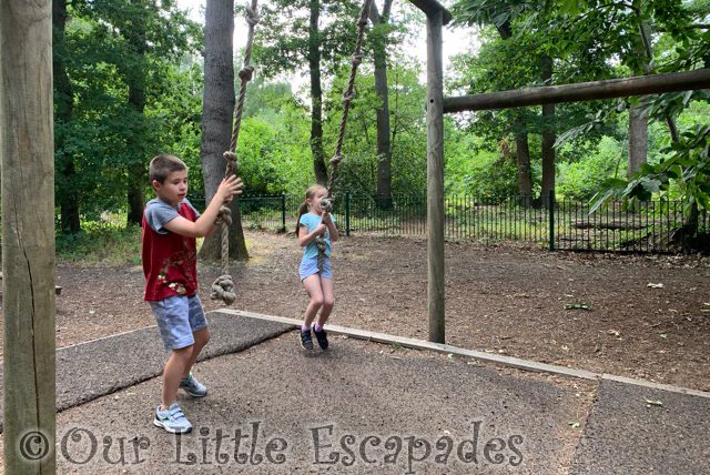 ethan little e swing ropes childrens play area highwoods country park