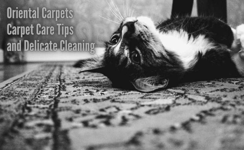 Oriental Carpets Carpet Care Tips and delicate Cleaning