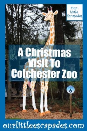 A Christmas Visit To Colchester Zoo