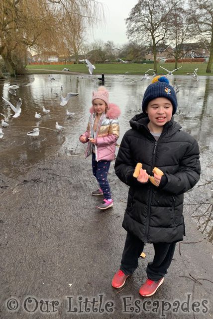 ethan little e flooded river seagulls