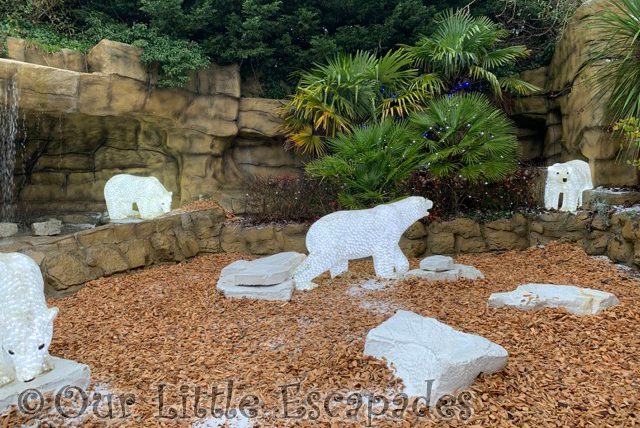 polar bears merry bright trail colchester zoo christmas
