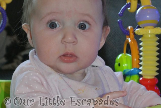 little e surprised look featured image