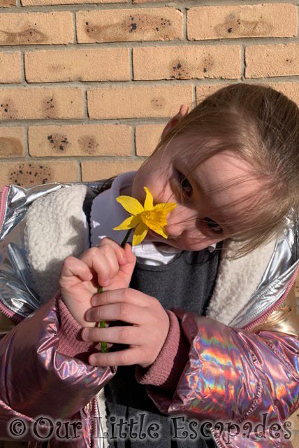 little e holding daffodil 2021 Week 10